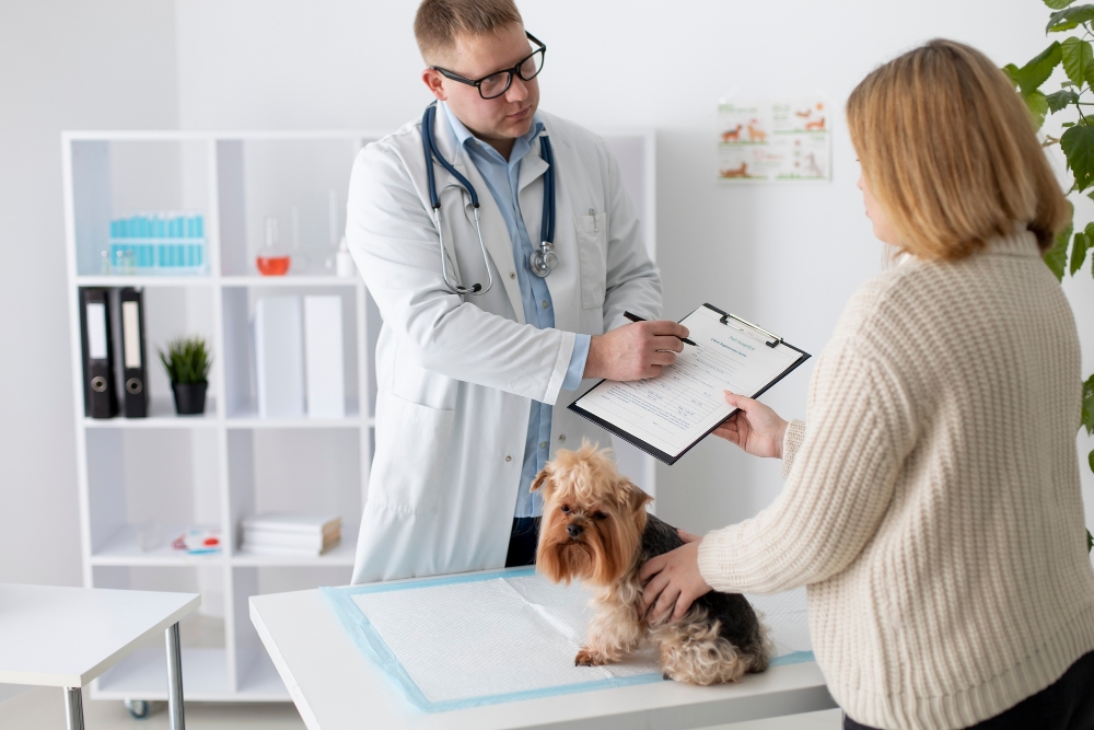 Health Certificate Consultation-1