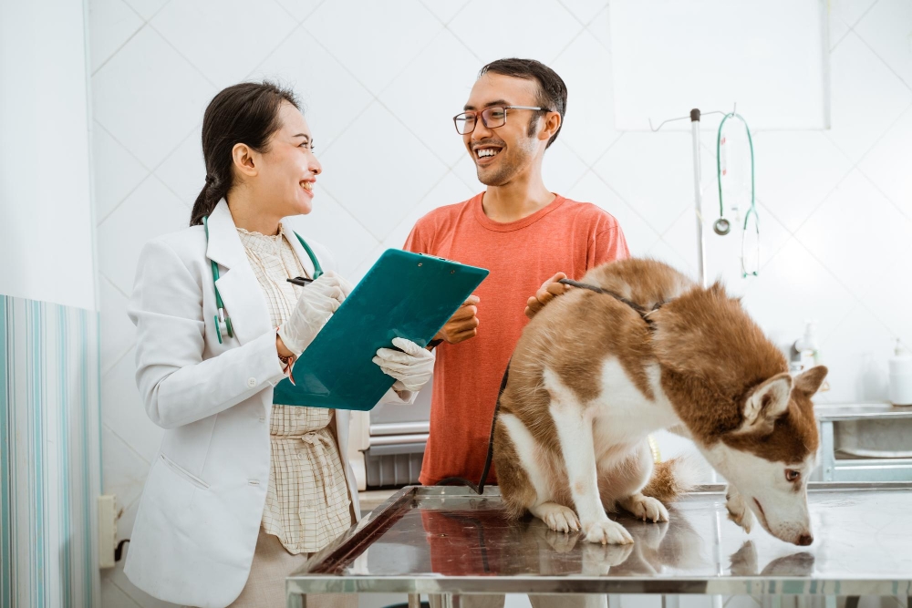 Health Certificate Consultation-2