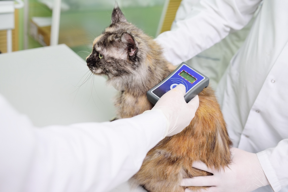 Microchip Application
