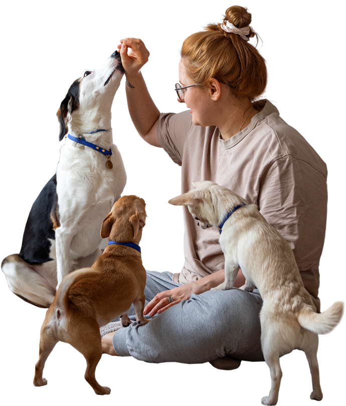 iStock-1391392455