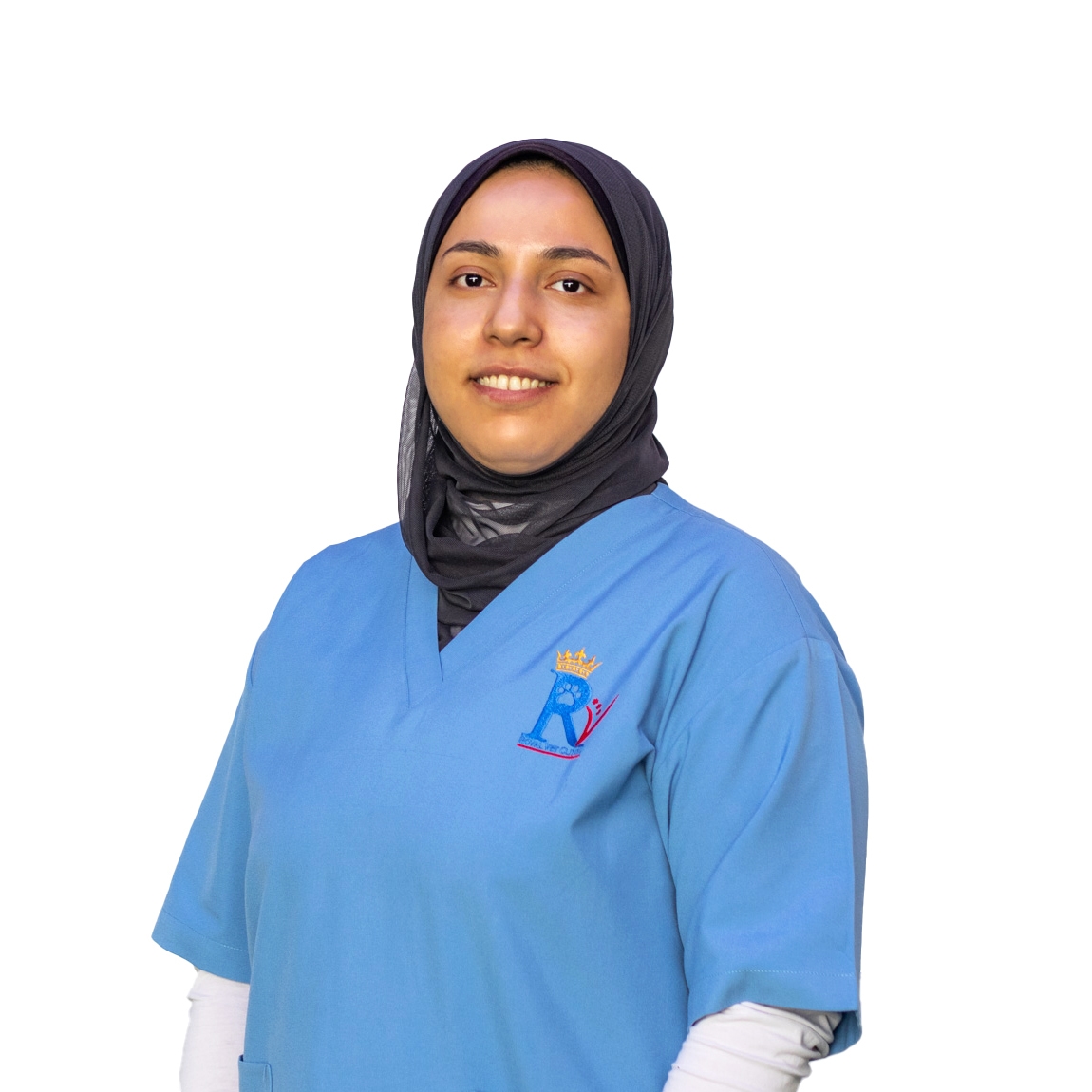 Dr. Alaa Mahmoud