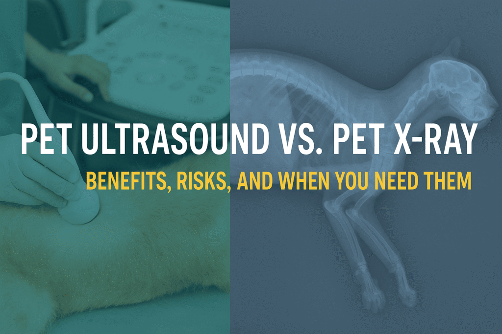 pet-ultrasound-vs-pet-x-ray