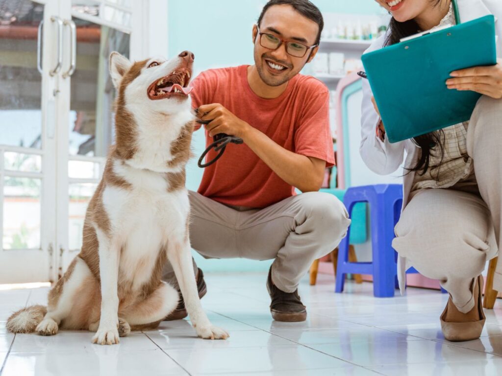 Pet Health Certificates